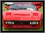 Ferrari 288 GTO, Emblemat, Maska